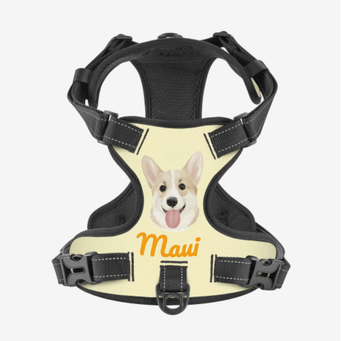 Dog Harness