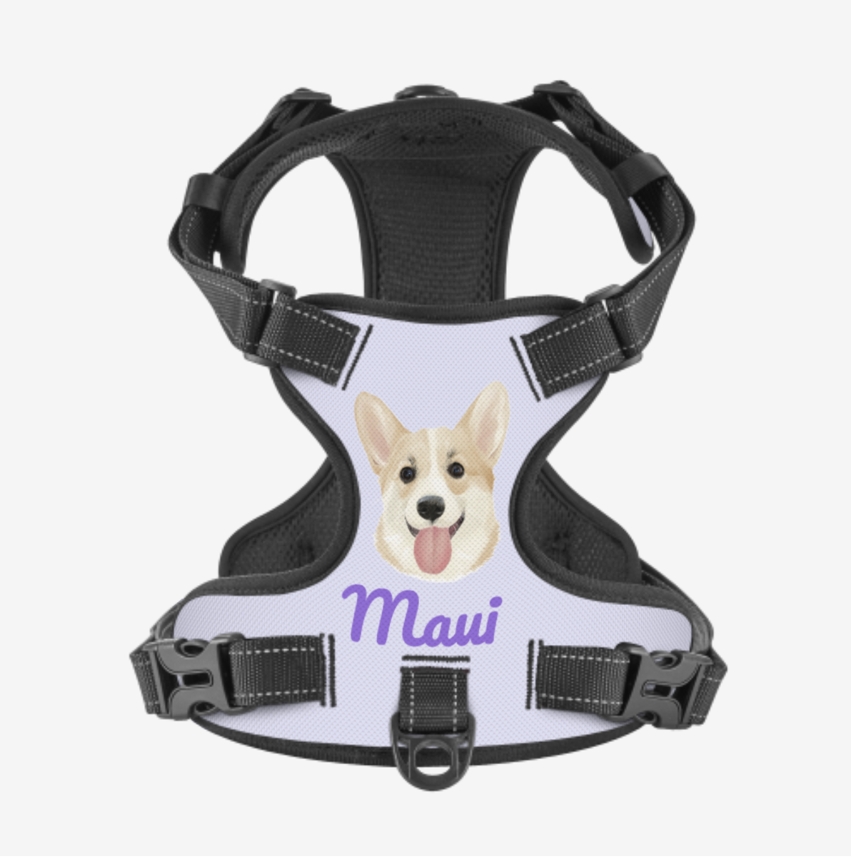 Dog Harness
