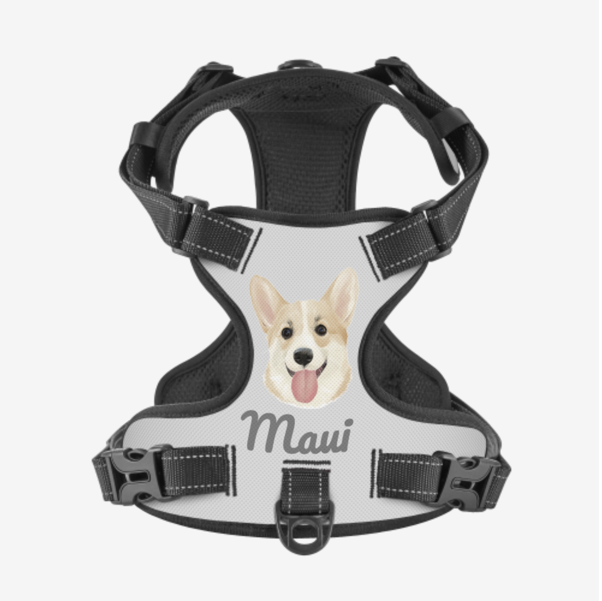 Dog Harness