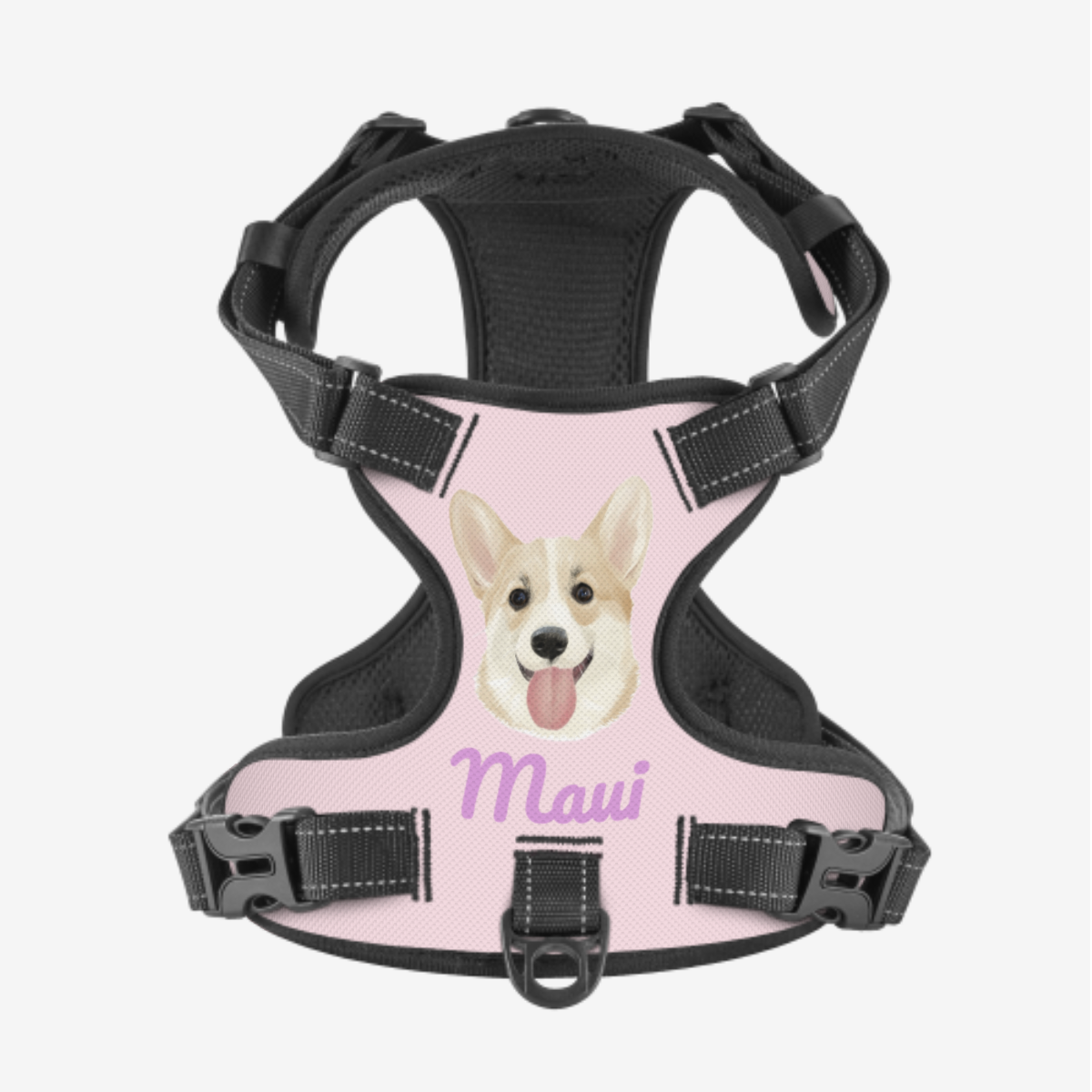 Dog Harness