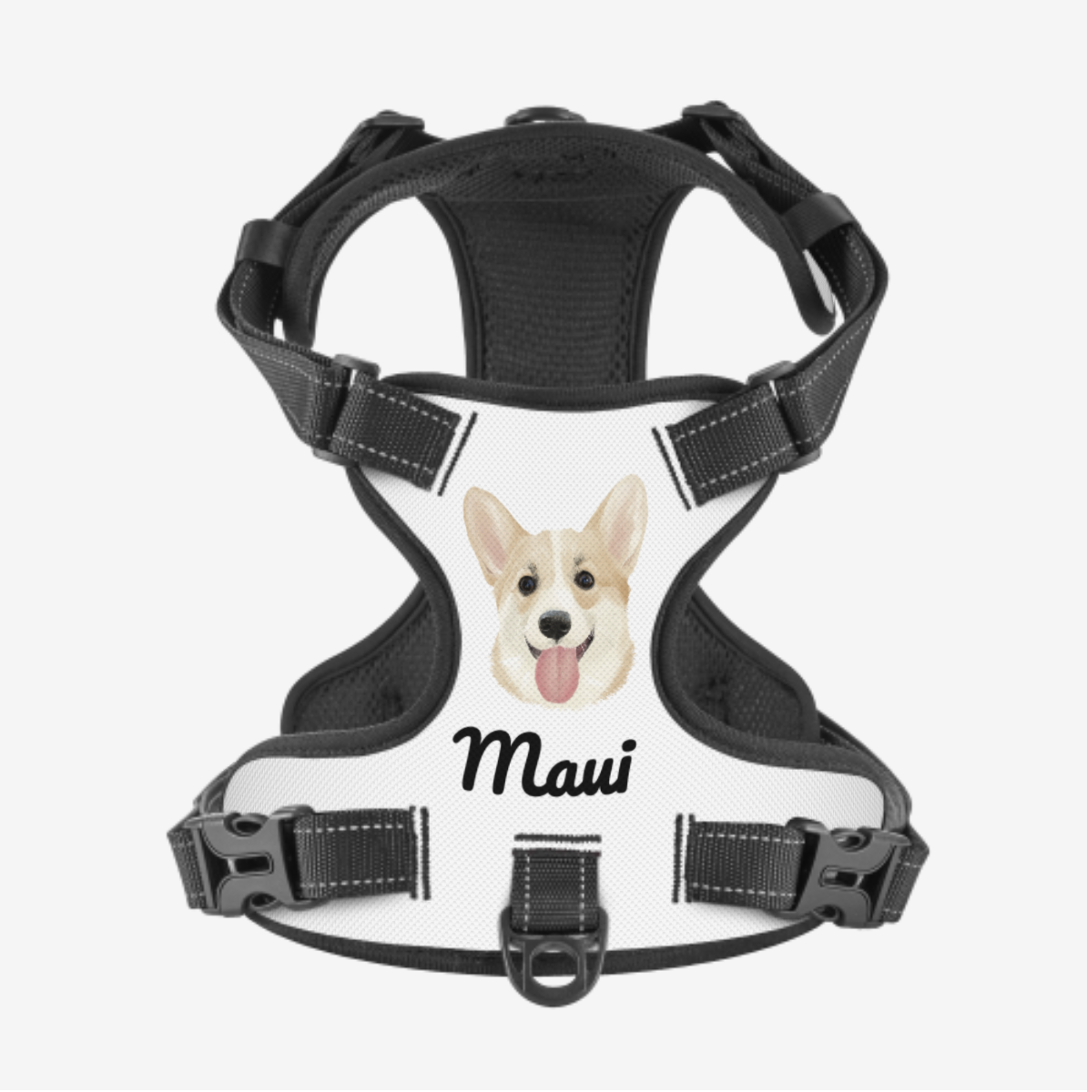 Dog Harness