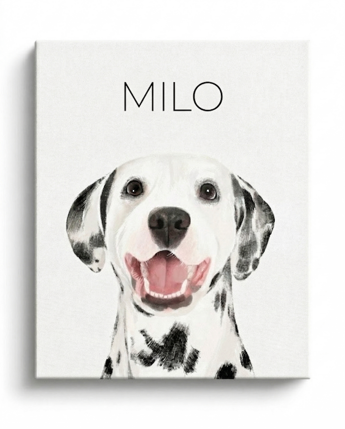 Pet Portrait